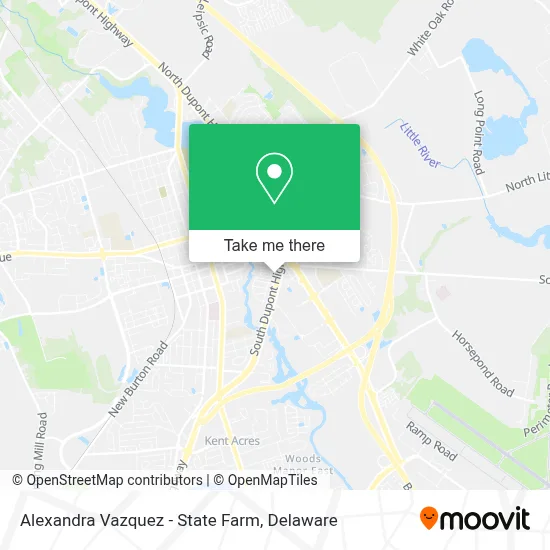 Alexandra Vazquez - State Farm map