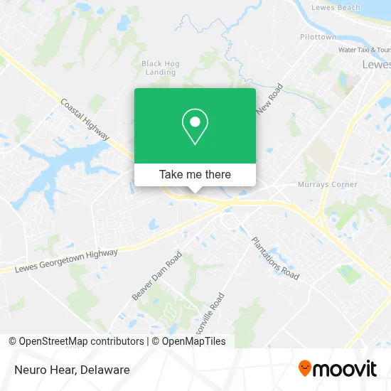 Neuro Hear map