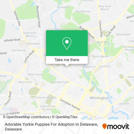 Adorable Yorkie Puppies For Adoption In Delaware map