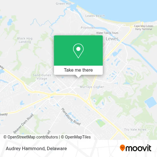 Audrey Hammond map