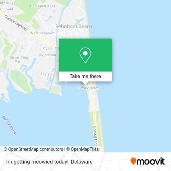 Mapa de Im getting meowied today!