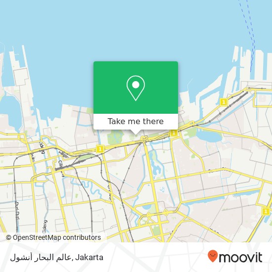 عالم البحار أنشول map