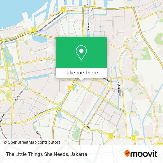 The Little Things She Needs map