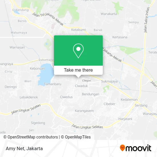 Amy Net map