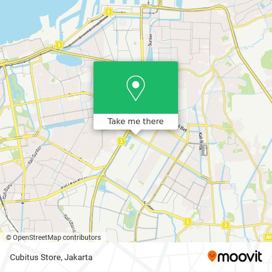 Cubitus Store map