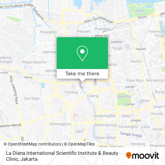 La Diana International Scientific Institute & Beauty Clinic map