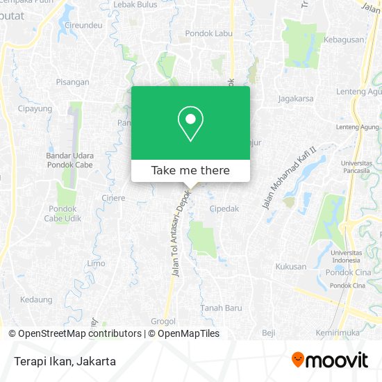 Terapi Ikan map