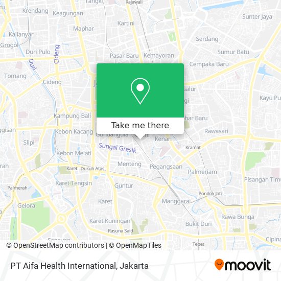 PT Aifa Health International map