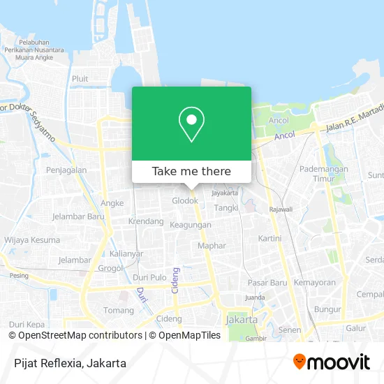 Pijat Reflexia map