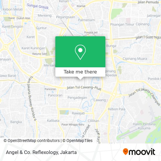 Angel & Co. Reflexology map