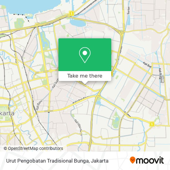 Urut Pengobatan Tradisional Bunga map