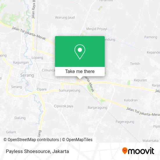 Payless Shoesource map