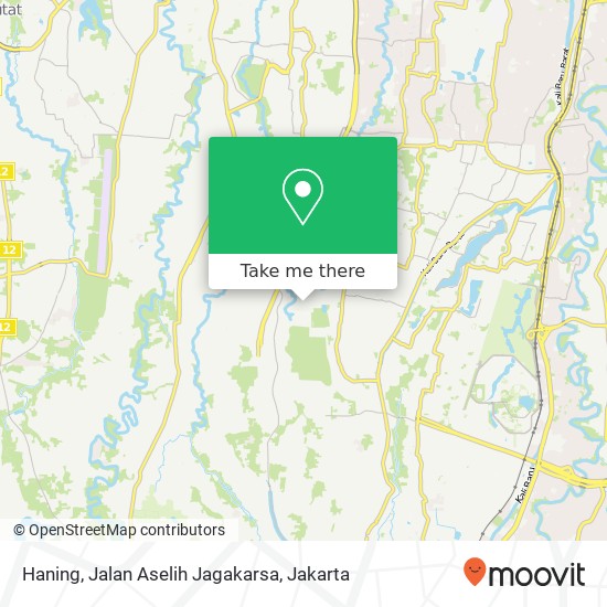Haning, Jalan Aselih Jagakarsa map