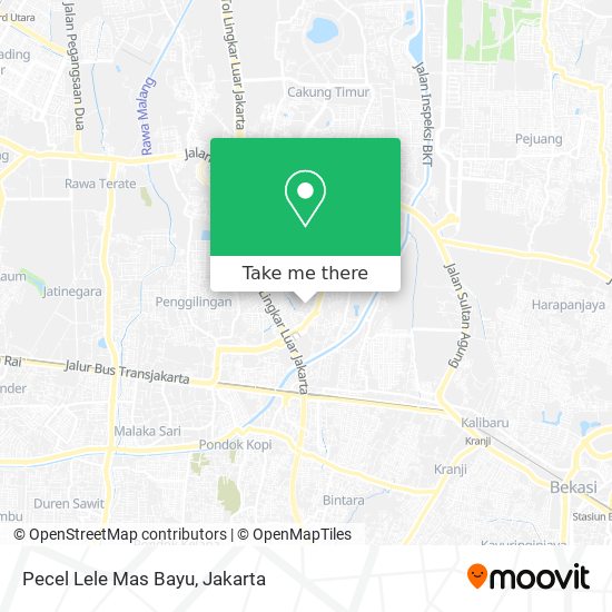 Pecel Lele Mas Bayu map