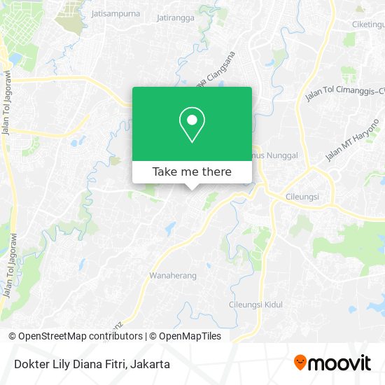 Dokter Lily Diana Fitri map