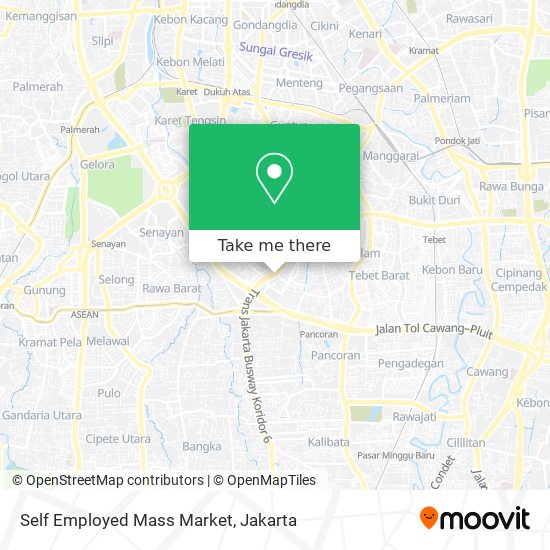 Self Employed Mass Market map