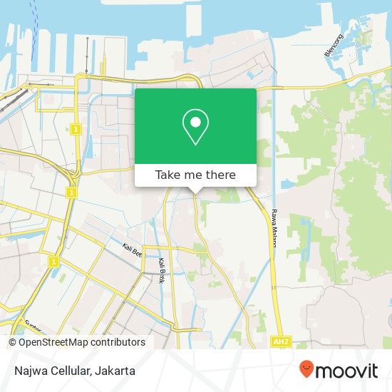 Najwa Cellular map