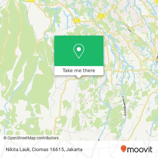 Nikita Lauk, Ciomas 16615 map