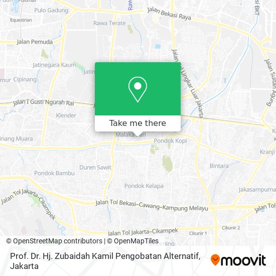 Prof. Dr. Hj. Zubaidah Kamil Pengobatan Alternatif map