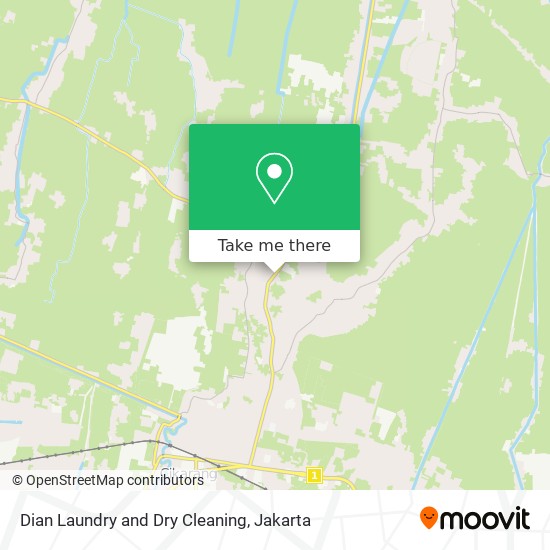 Dian Laundry and Dry Cleaning map