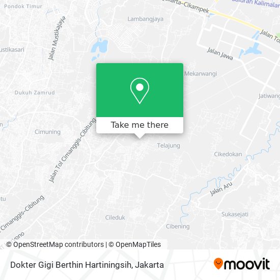 Dokter Gigi Berthin Hartiningsih map