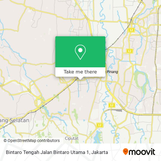 Bintaro Tengah Jalan Bintaro Utama 1 map