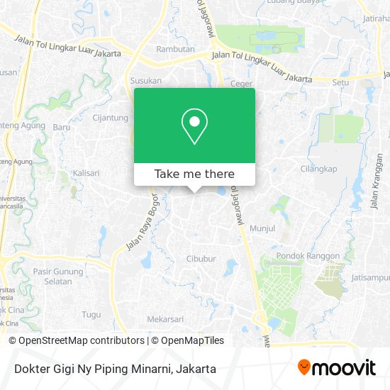 Dokter Gigi Ny Piping Minarni map