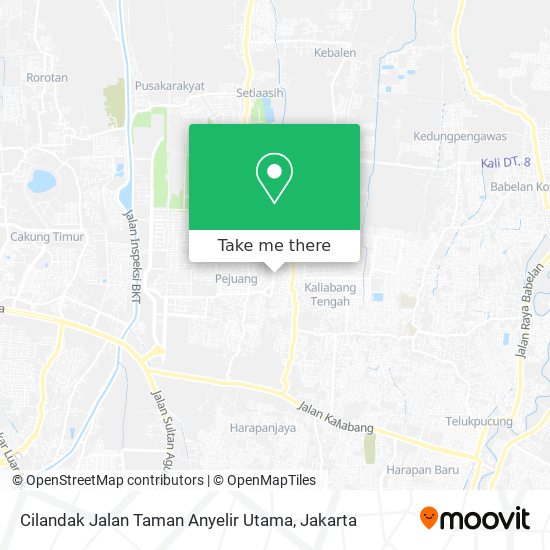 Cilandak Jalan Taman Anyelir Utama map