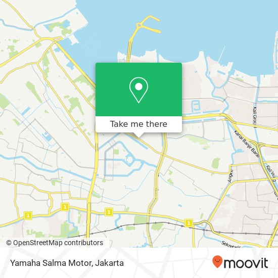 Yamaha Salma Motor map