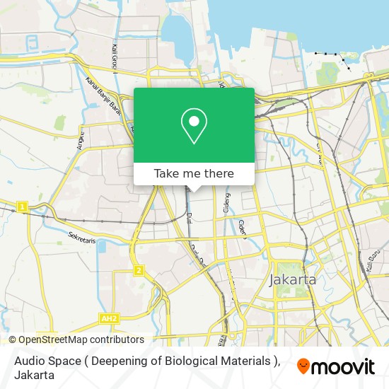 Audio Space ( Deepening of Biological Materials ) map