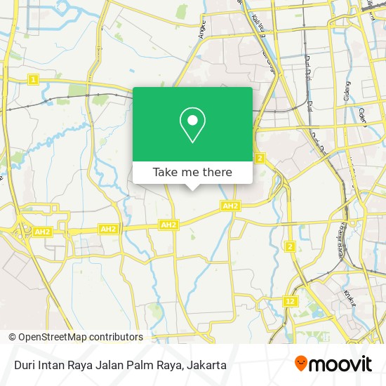 Duri Intan Raya Jalan Palm Raya map