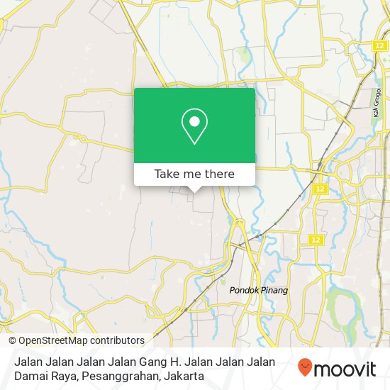 Jalan Jalan Jalan Jalan Gang H. Jalan Jalan Jalan Damai Raya, Pesanggrahan map