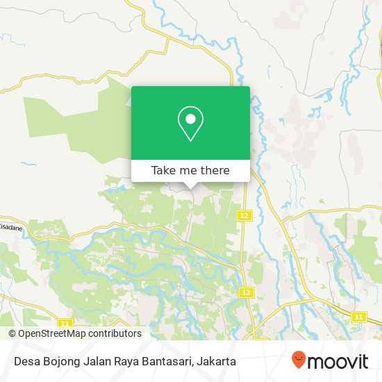 Desa Bojong Jalan Raya Bantasari, Kemang map