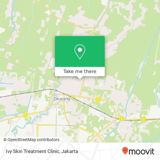 Ivy Skin Treatment Clinic map