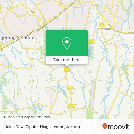Jalan Dewi Ciputat Niaga Lestari map