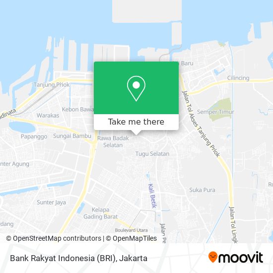 Bank Rakyat Indonesia (BRI) map