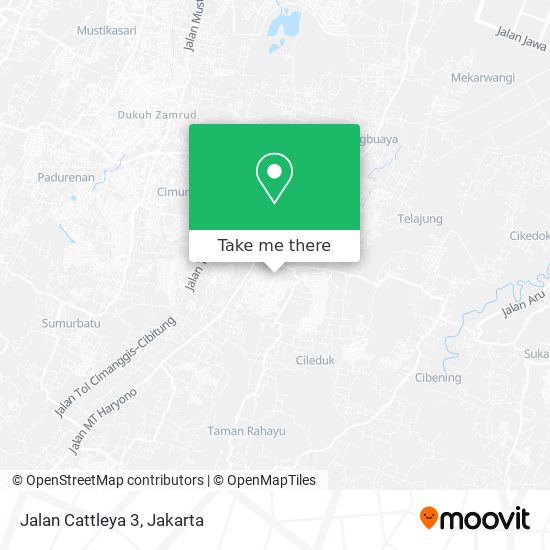 Jalan Cattleya 3 map