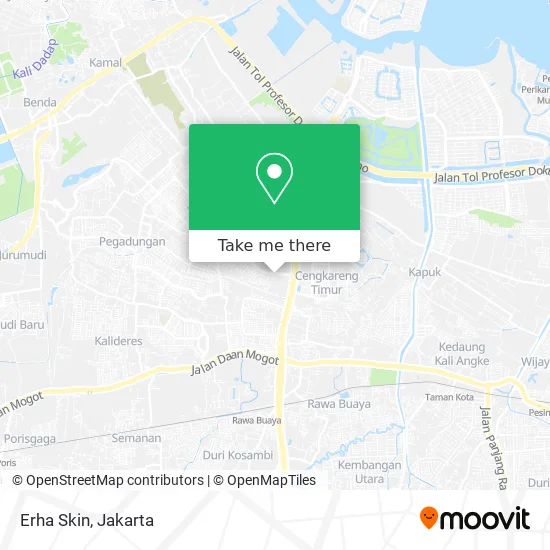 Erha Skin map