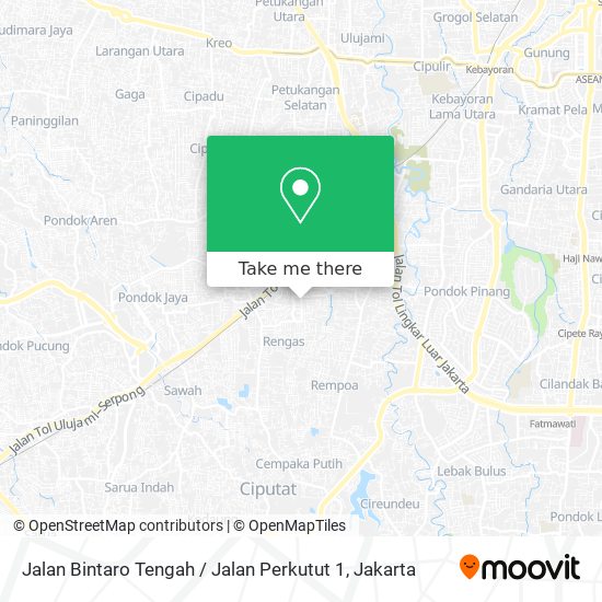Jalan Bintaro Tengah / Jalan Perkutut 1 map