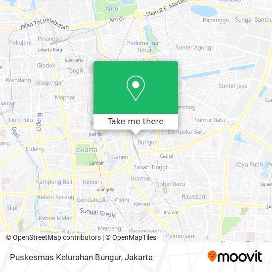 Puskesmas Kelurahan Bungur map