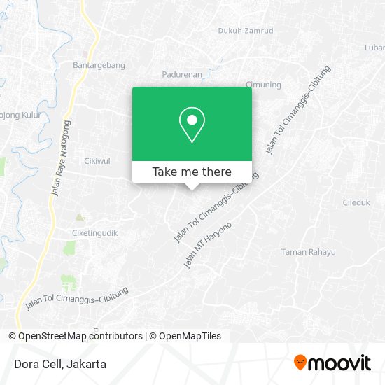 Dora Cell map