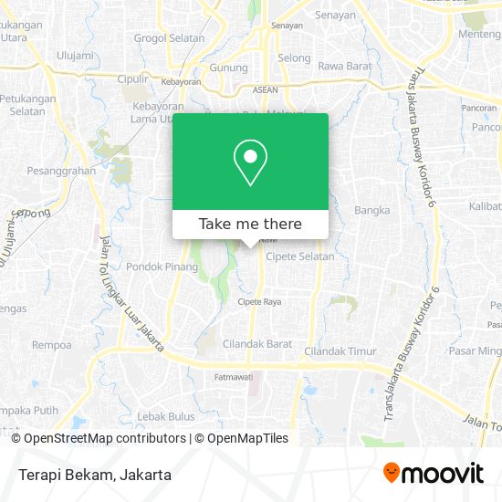 Terapi Bekam map