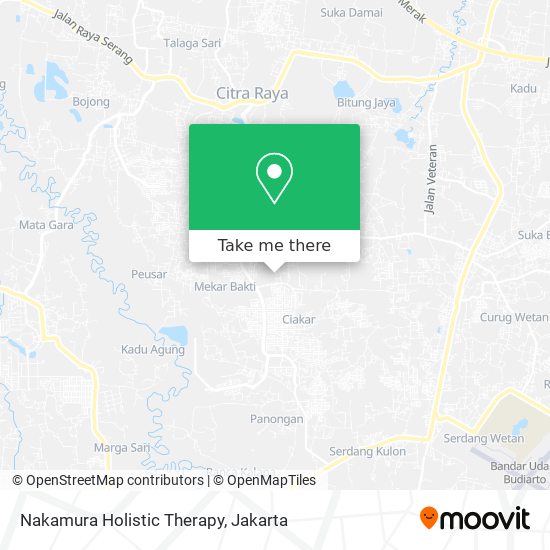 Nakamura Holistic Therapy map