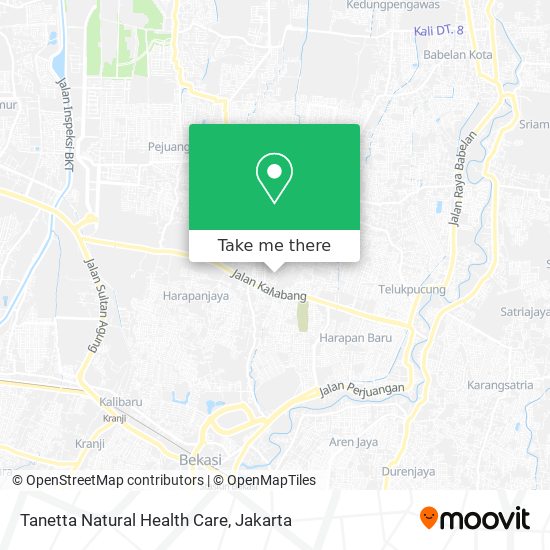 Tanetta Natural Health Care map