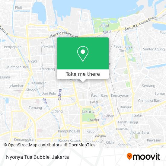 Nyonya Tua Bubble map