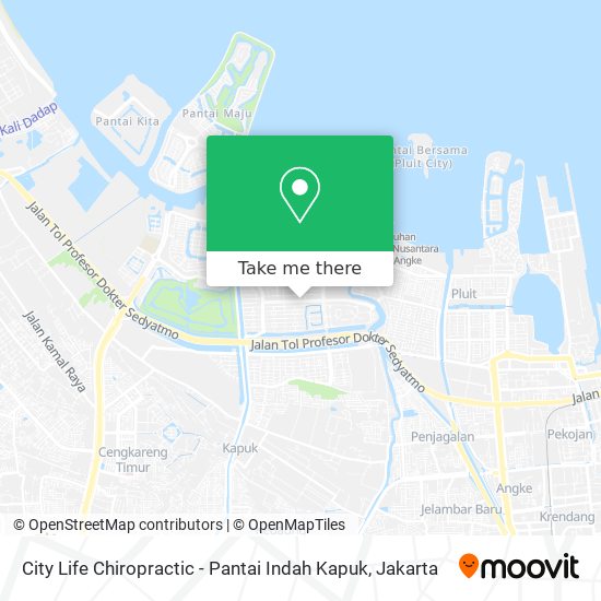 City Life Chiropractic - Pantai Indah Kapuk map