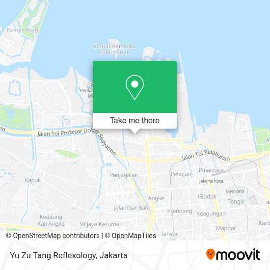Yu Zu Tang Reflexology map