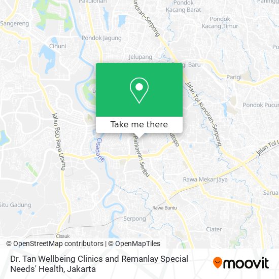 Dr. Tan Wellbeing Clinics and Remanlay Special Needs' Health map