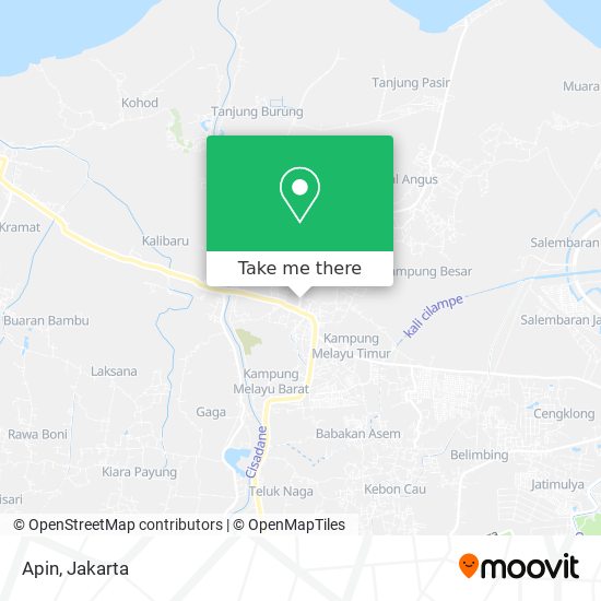 Apin map