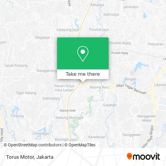 Torus Motor map